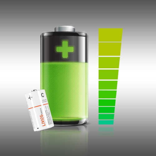 4 Pack Maximum Power C Alkaline Batteries with No Mercury or Cadmium Added for remotes, toys, flashlights, camping lights, stereos