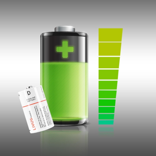 4pcs 1.5V D Batteries alcalines est conforme à la directive de l'UE de la batterie pourraient fonctionner entre -18 et 50 - LivingBasics®