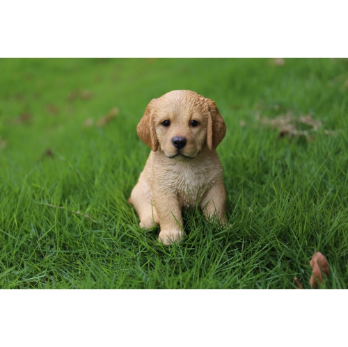 Hi-Line Gift Ltd Sitting Golden Retriever Puppy Garden Statue