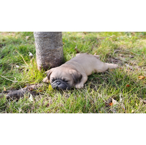 Hi-Line Gift Ltd Pug Puppy Sleeping