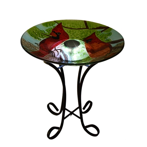 Hi-Line Gift Ltd Solar LED Floral Glass Bird Bath with Stand - Cardinal