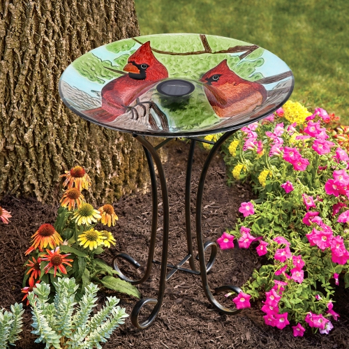 Hi-Line Gift Ltd Solar LED Floral Glass Bird Bath with Stand - Cardinal