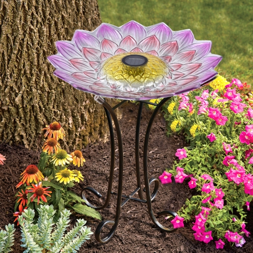 Hi-Line Gift Ltd Solar LED Floral Glass Bird Bath with Stand - Pink Dahlia