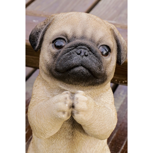 Hi-Line Gift Ltd Pug Puppy Garden Statue Praying