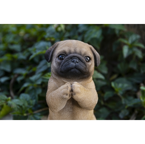 Hi-Line Gift Ltd Pug Puppy Garden Statue Praying