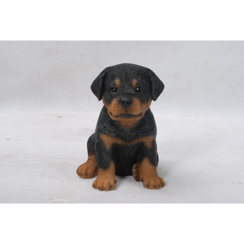 Hi-Line Gift Ltd Rottweiler Puppy