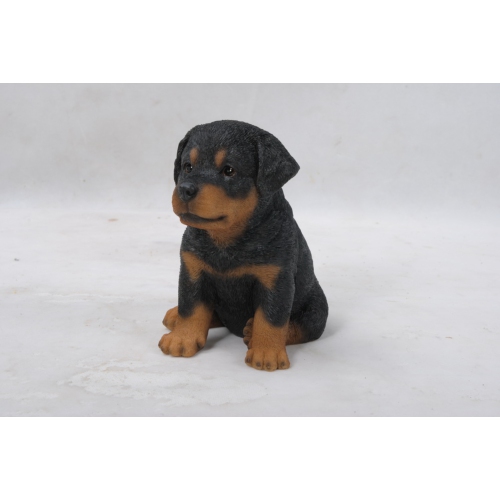 Hi-Line Gift Ltd Rottweiler Puppy