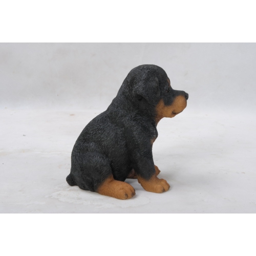 Hi-Line Gift Ltd Rottweiler Puppy
