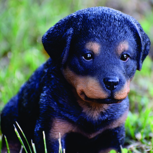 Hi-Line Gift Ltd Rottweiler Puppy