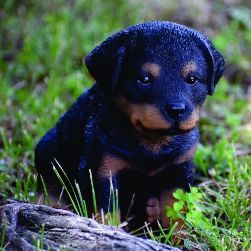 Hi-Line Gift Ltd Rottweiler Puppy