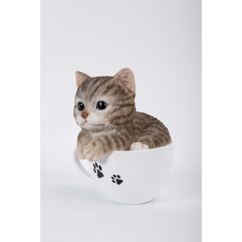 Hi-Line Gift Ltd Teacup Kitten Grey Tabby Garden Statue