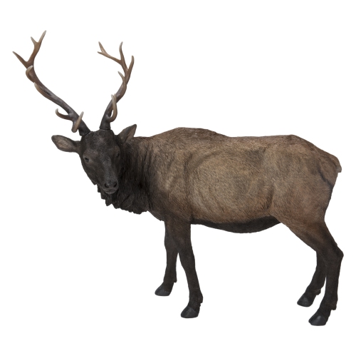 Hi-Line Gift Ltd North American Elk Garden Statue