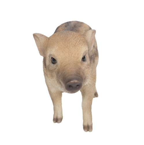 Hi-Line Gift Ltd Wild Baby Boar Standing