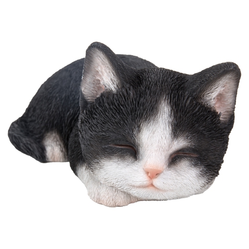 HI-LINE GIFT LTD  Black & Kitten Sleeping In White