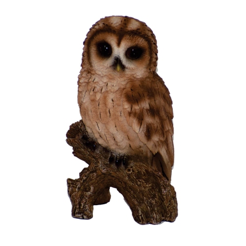 Hi-Line Gift Ltd Small Tawny Owl On Stump