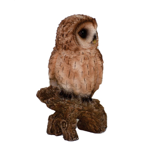 Hi-Line Gift Ltd Small Tawny Owl On Stump