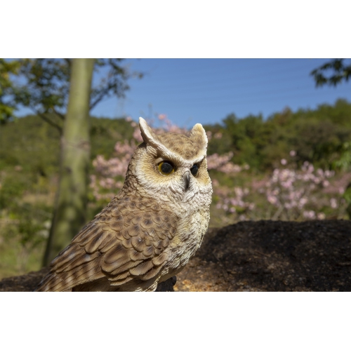 Hi-Line Gift Ltd Motion Activated Singing Long Eared Owlet Standing On Stump
