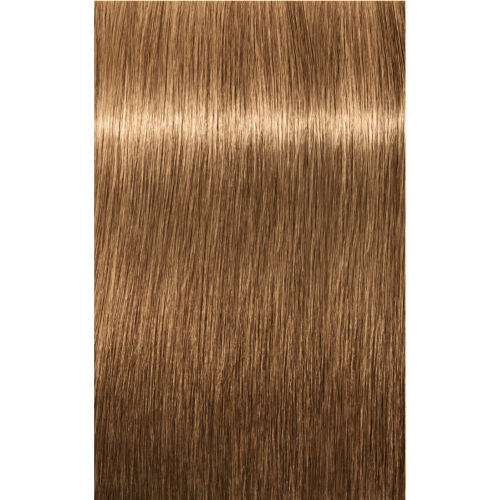 Schwarzkopf Igora Absolutes 8-50 LIGHT BLONDE GOLD NATURAL, 60g