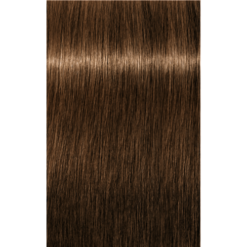 Schwarzkopf Igora Royal 6-5 DARK BLONDE GOLD, 60g