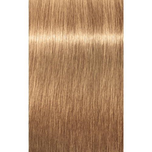 Schwarzkopf Igora Absolutes 9-56 EXTRA LIGHT BLONDE GOLD CHOCOLATE, 60g