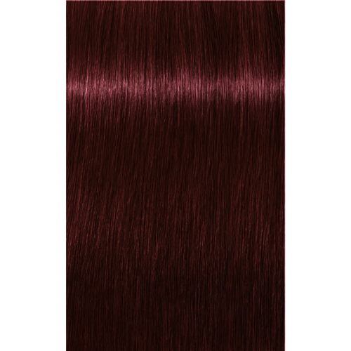 Schwarzkopf Igora Royal 4-88 MEDIUM BROWN RED EXTRA, 60g