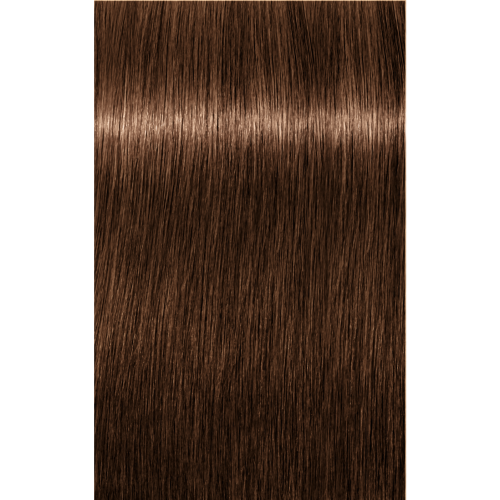 Schwarzkopf Igora Royal 6-65 DARK BLONDE CHOCOLATE GOLD, 60g