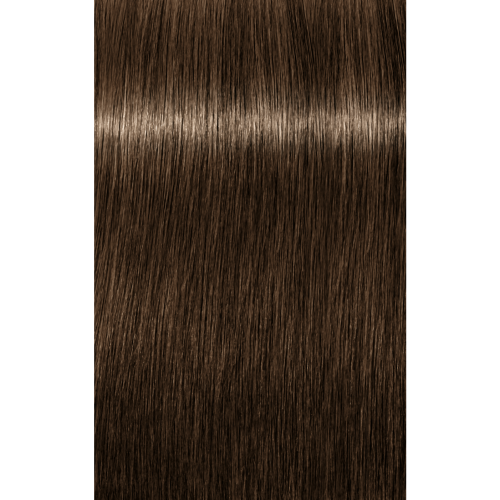 Schwarzkopf Igora Royal 6-0 DARK BLONDE NATURAL, 60g
