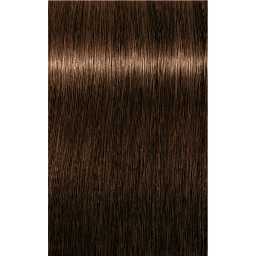 Schwarzkopf Igora Absolutes 5-50 LIGHT BROWN GOLD NATURAL, 60g