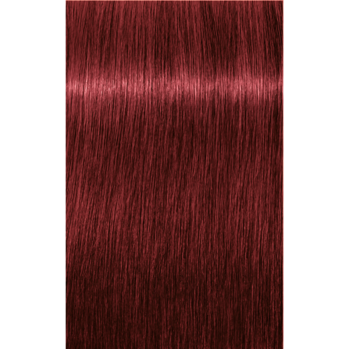 Schwarzkopf Igora Royal 6-88 DARK BLONDE RED EXTRA, 60g