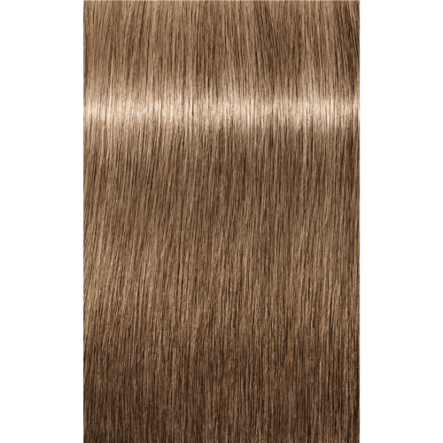 Schwarzkopf Igora Absolutes 8-01 LIGHT BLONDE NATURAL CENDRE, 60g