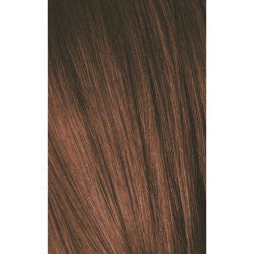 Schwarzkopf Igora Color10 6-6 BLONDE CHOCOLAT NOIR, 60 g.