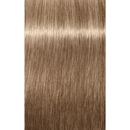 Schwarzkopf Igora Absolutes 8-14 LIGHT BLONDE CENDRE BEIGE, 60g