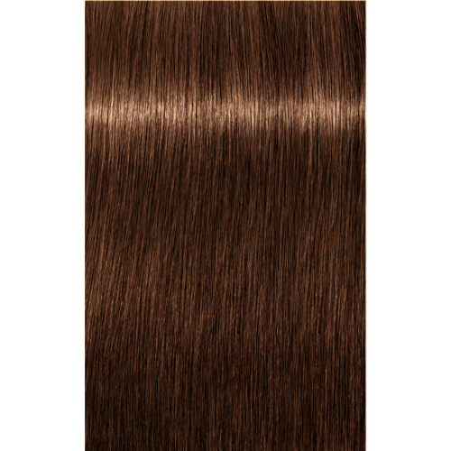 Schwarzkopf Igora Absolutes 6-60 DARK BLONDE CHOCOLATE NATURAL, 60g