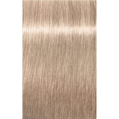 Schwarzkopf Igora Highlights 12-19 SPECIAL BLONDE CENDRE VIOLET, 60g