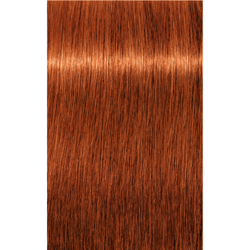 Schwarzkopf Igora Royal 7-77 BLOND MOYEN CUIVRE EXTRA, 60 g.