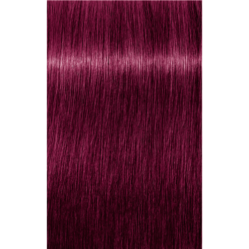 Schwarzkopf Igora Royal 0-89 RED VIOLET CONCENTRATE, 60g