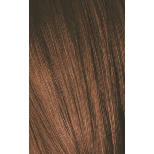 Schwarzkopf Igora Color10 6-65 BLOND CHOCOLAT DORÉ FONCÉ, 60 g.