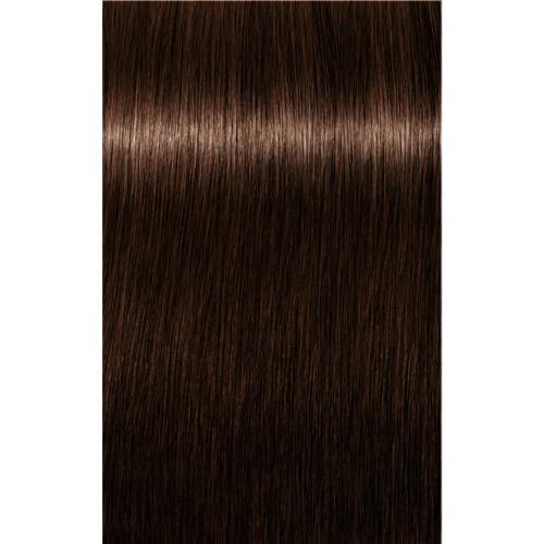 Schwarzkopf Igora Absolutes 5-60 LIGHT BROWN CHOCOLATE NATURAL, 60g