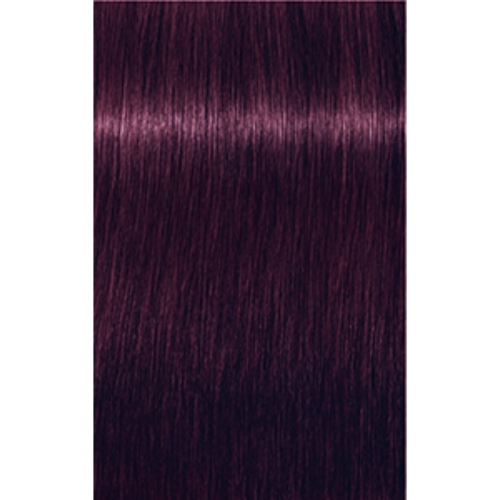 Schwarzkopf, concentré vibrant Igora, 0-99 VIOLET, 60 g.