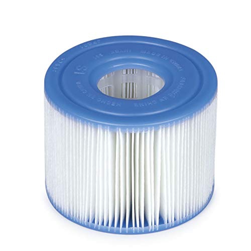 Intex Type S1 Filter Cartridge for PureSpa, Twin Pack