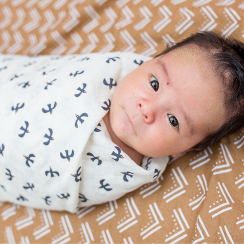 Lulujo - Boho - Swaddles de coton 2pk Swaddles Budge / oiseaux noirs