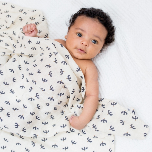 Lulujo - Boho - Swaddles de coton 2pk Swaddles Budge / oiseaux noirs
