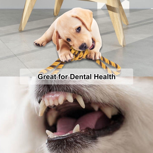 Dog Chew & Teething Toys for Puppies, with Squeaky Sound, Set of 6 - Tear and bite resistant LIVINGbasics®