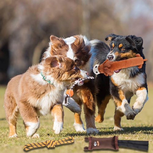 Dog Chew & Teething Toys for Puppies, with Squeaky Sound, Set of 6 - Tear and bite resistant LIVINGbasics®