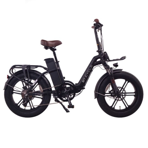 ET.CYCLE F1000 20\
