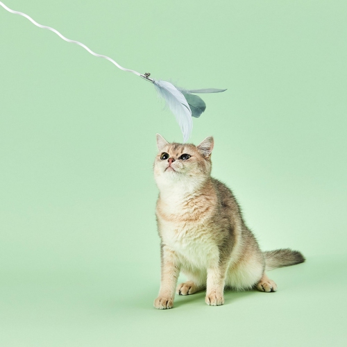 PETKIT Bingo Cat Toy, Collapsible Toy, Detachable Toy