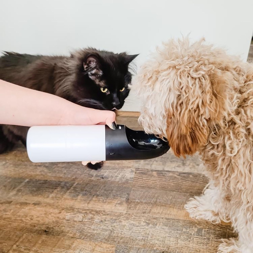 INSTACHEW Rover Dog Water and food Bottle For Walking, 430 milliliter Portable Dog Water Dispenser, Leak Proof, food bowl, multipurpose pet bottle,