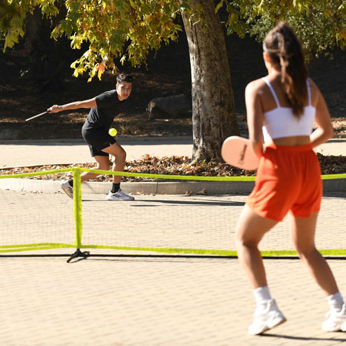 Triumph 4-Square Pickleball Set