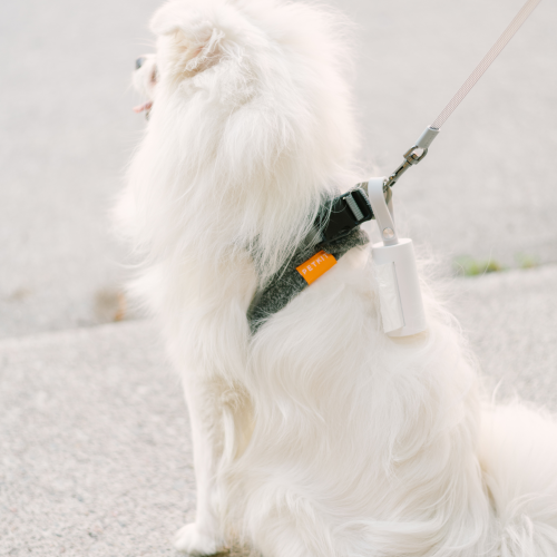 Harnais Air Pro, mousse légère, absorbant les chocs, respirant, pour chats et chiens