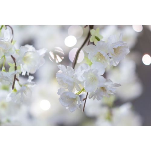 Hi-Line Gift Ltd Medium Cherry Blossom Tree with 84 Warm White LED